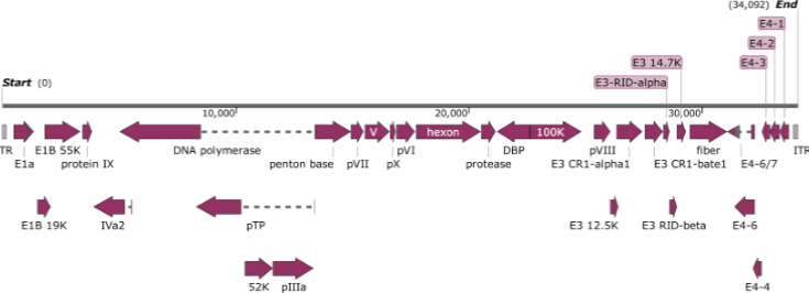 Fig 2