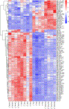 Figure 5: