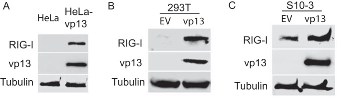 FIG 3