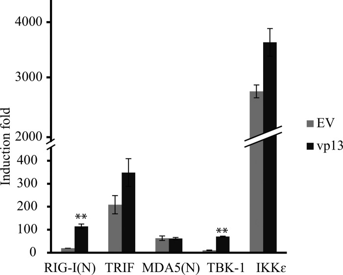 FIG 2