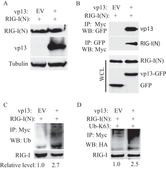 FIG 5