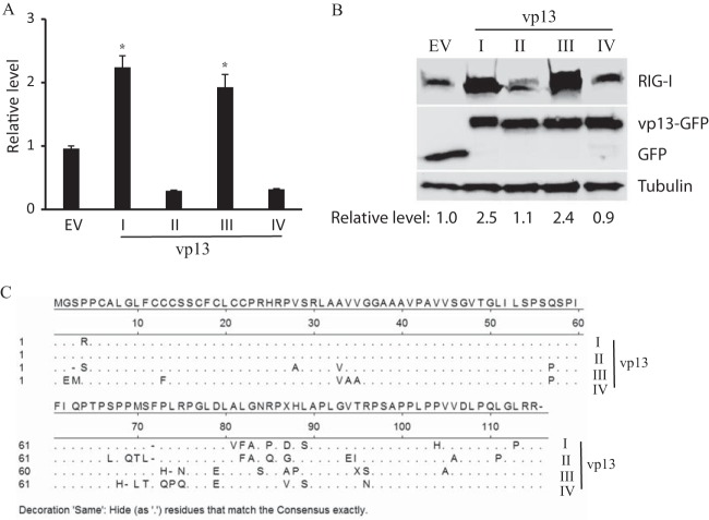 FIG 8