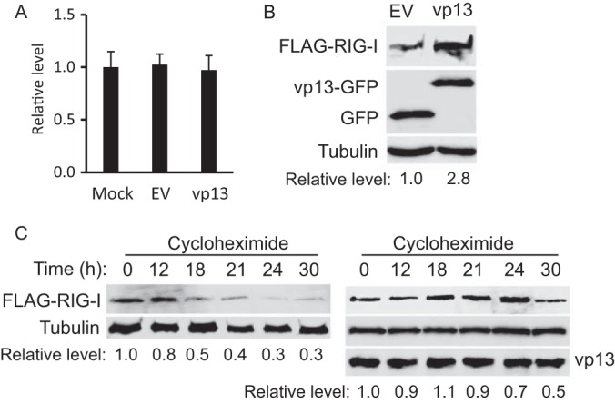 FIG 4