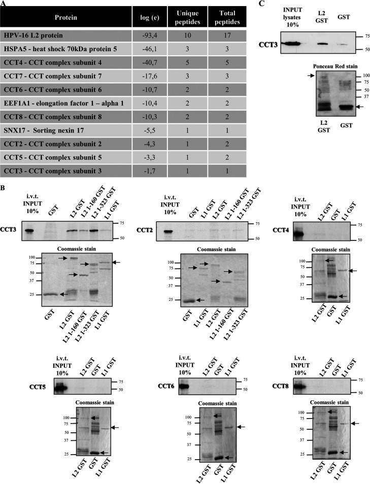 FIG 1