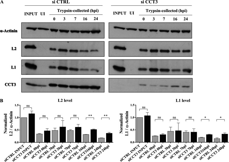 FIG 10