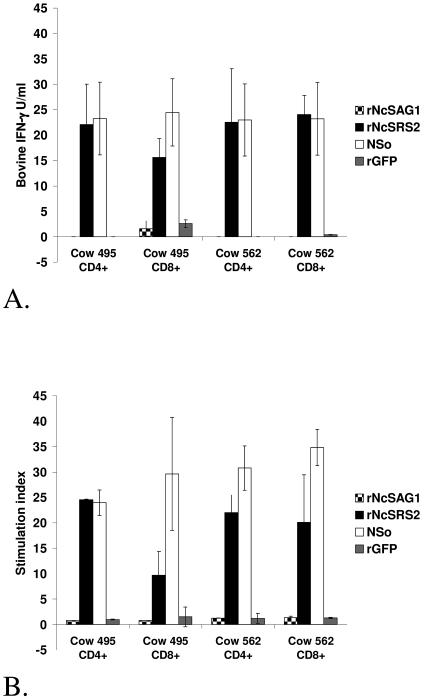 FIG. 1.