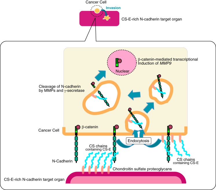 Figure 10.