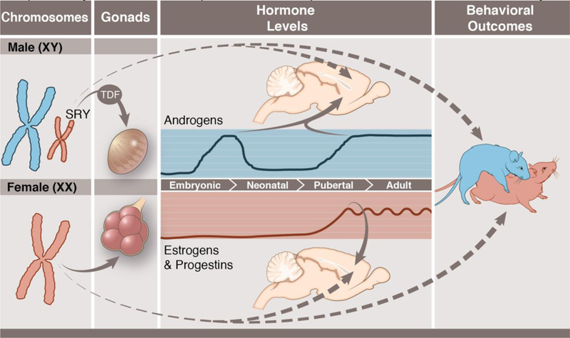 Figure 1: