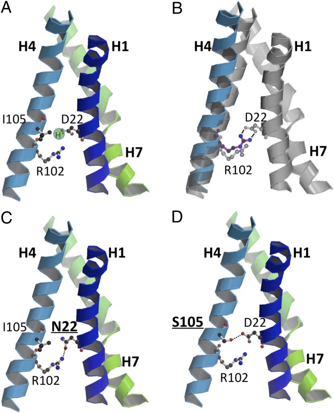 Fig. 6.