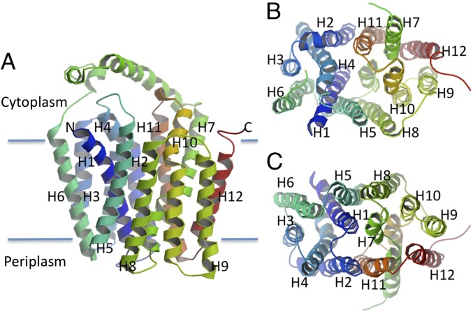 Fig. 3.