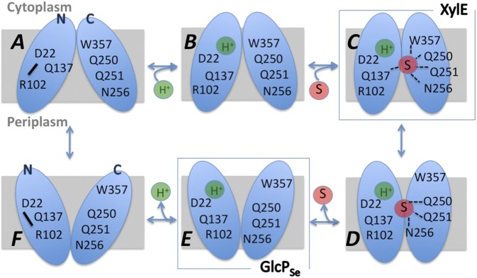 Fig. 7.