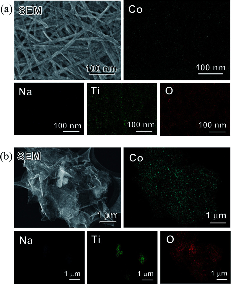 Fig. 8