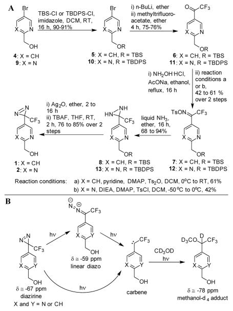 Scheme 1