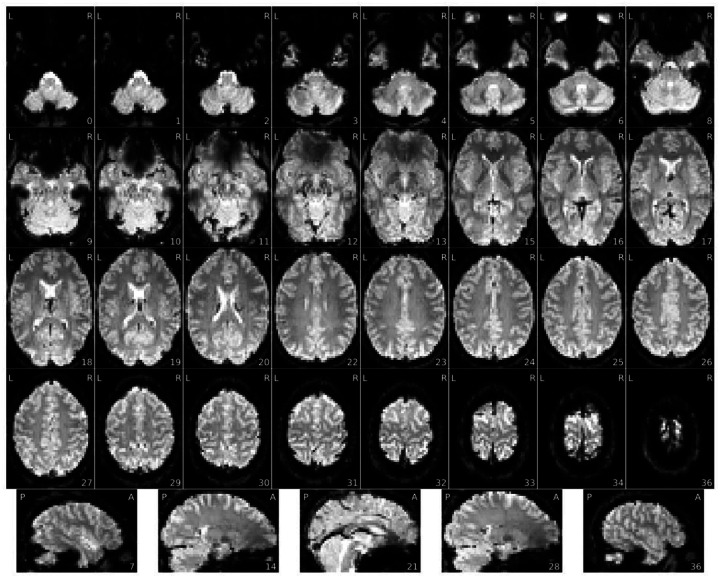 Figure 6 |