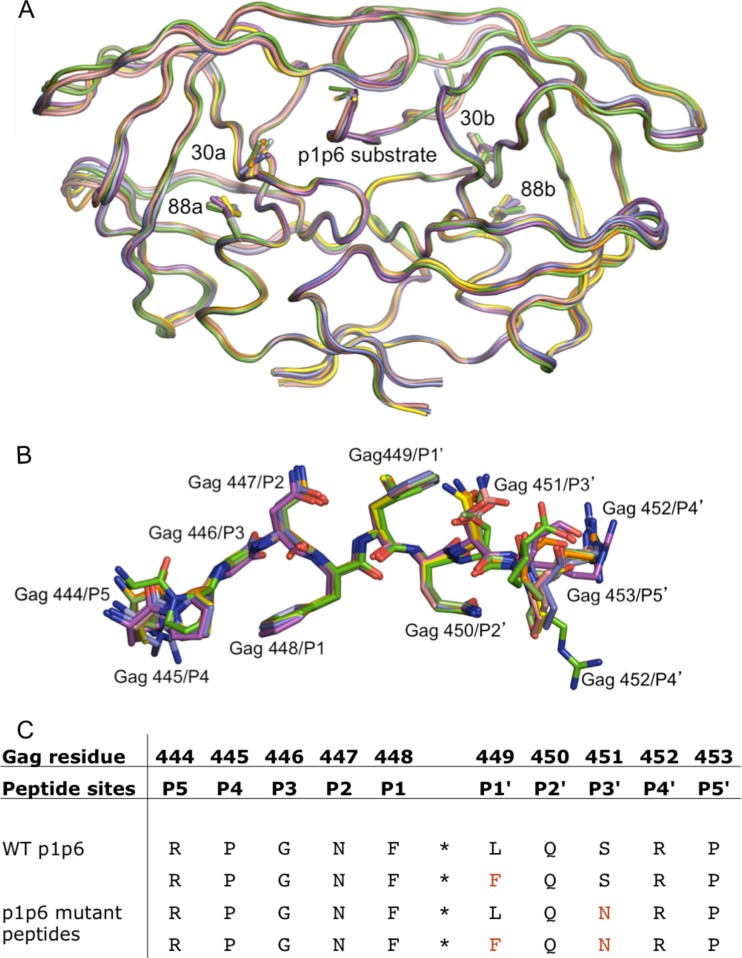 FIG 1