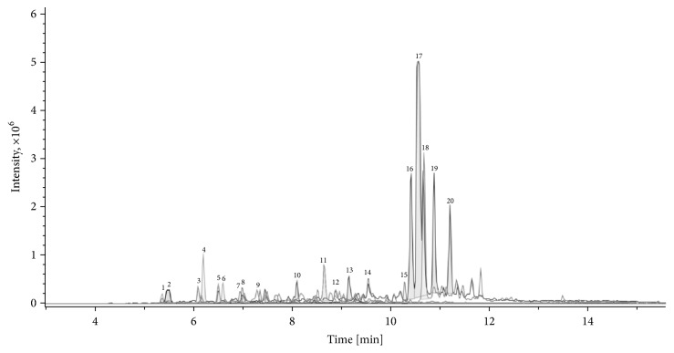 Figure 7