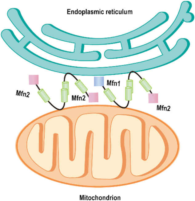 FIGURE 3