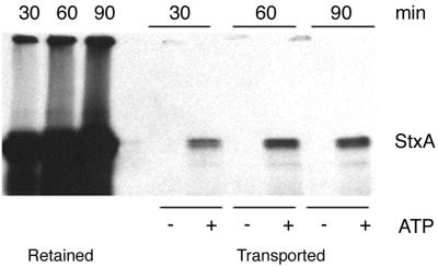 FIG. 3.