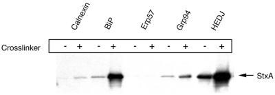 FIG. 5.