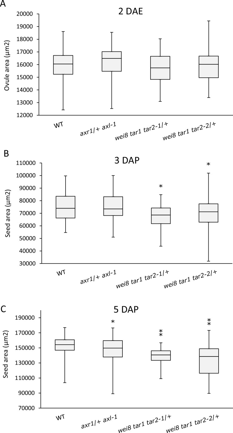 Figure 3—figure supplement 1.