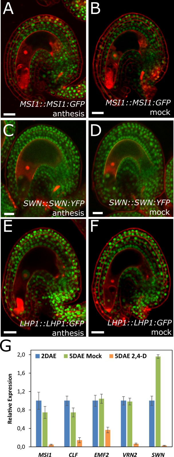 Figure 7—figure supplement 1.