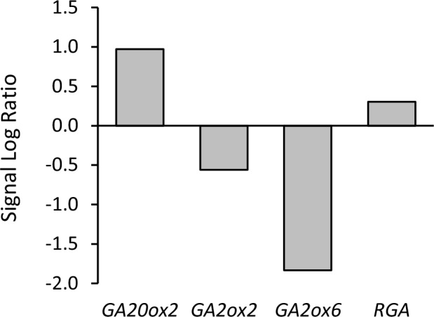 Figure 6—figure supplement 1.