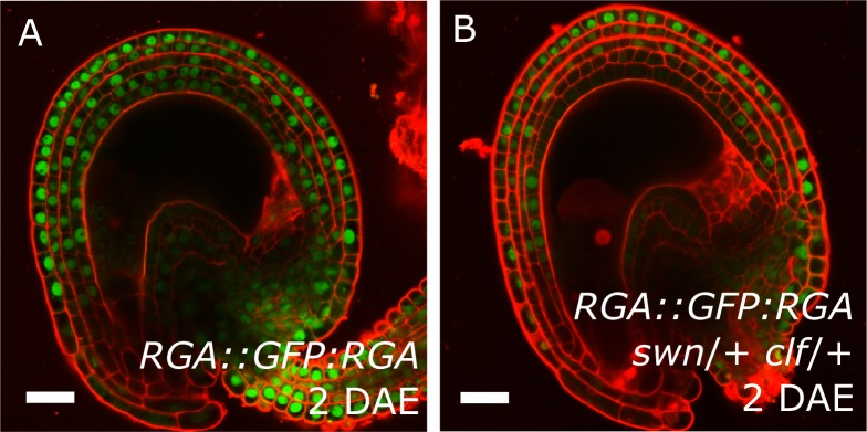 Figure 6—figure supplement 2.