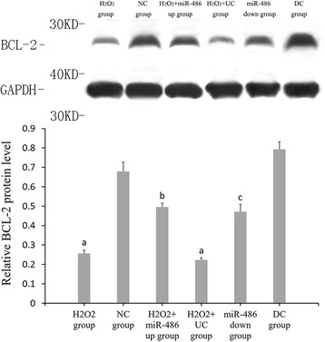 Fig. 12