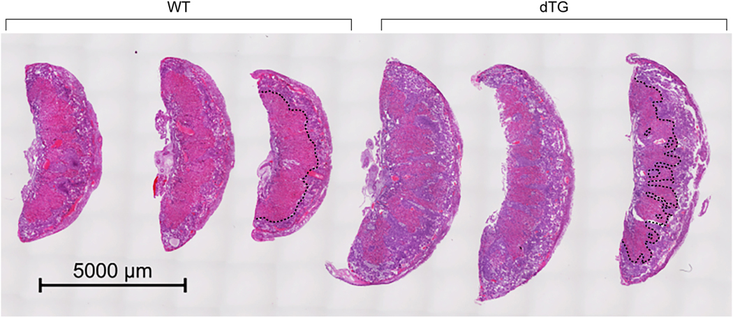 Fig. 3: