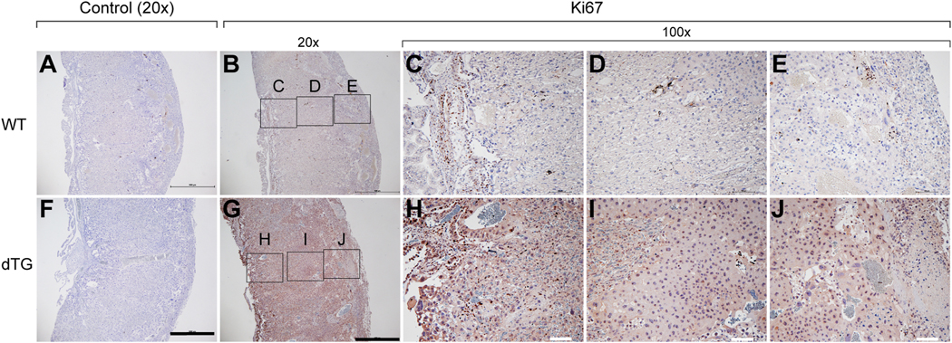 Fig. 6: