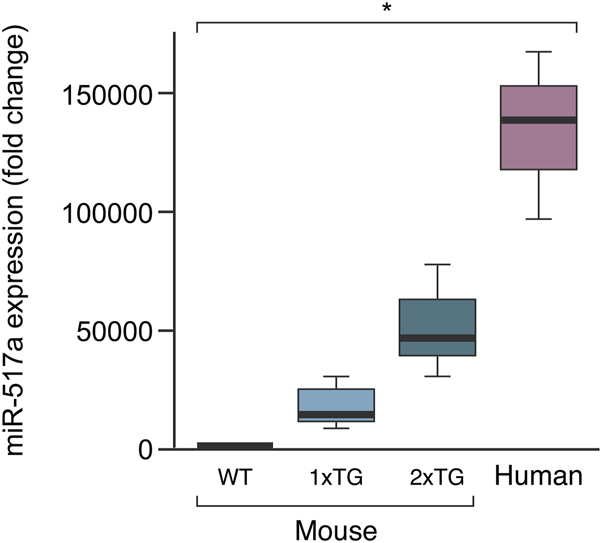 Fig. 1: