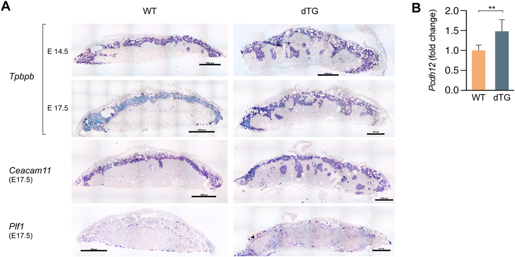 Fig. 4: