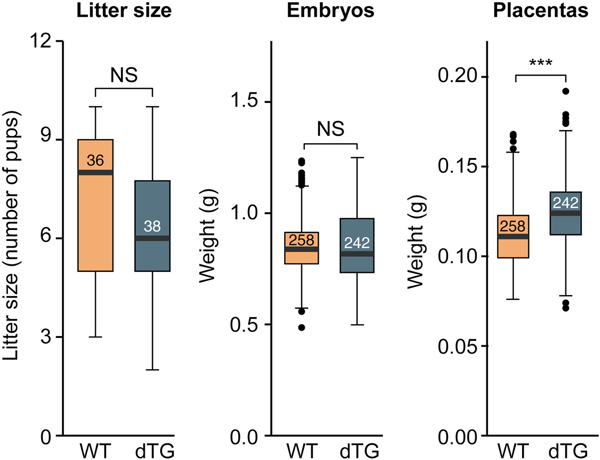 Fig. 2: