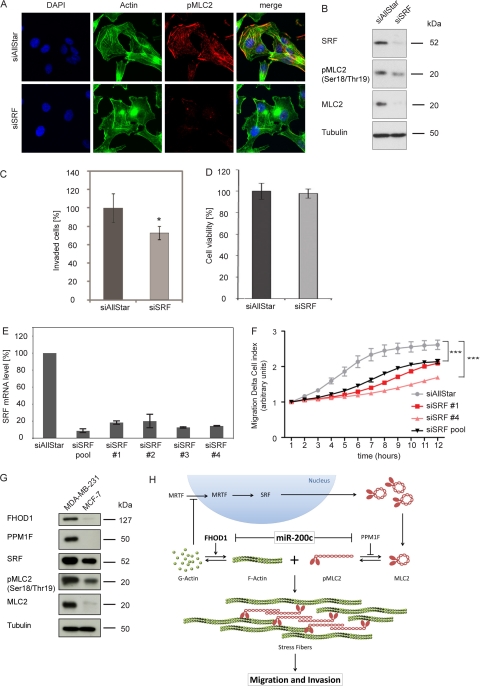 Fig 13