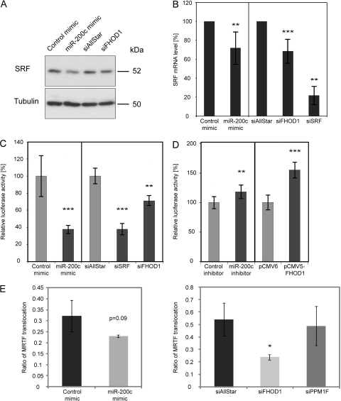 Fig 12