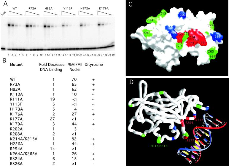 Fig 3.