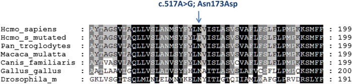 Figure 4