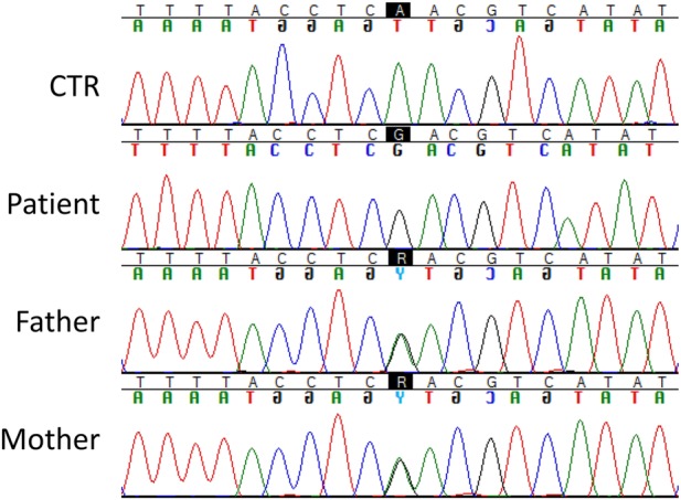 Figure 3