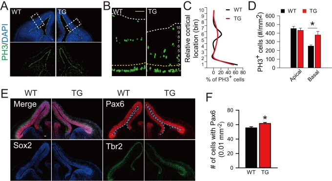 Figure 6—figure supplement 1.