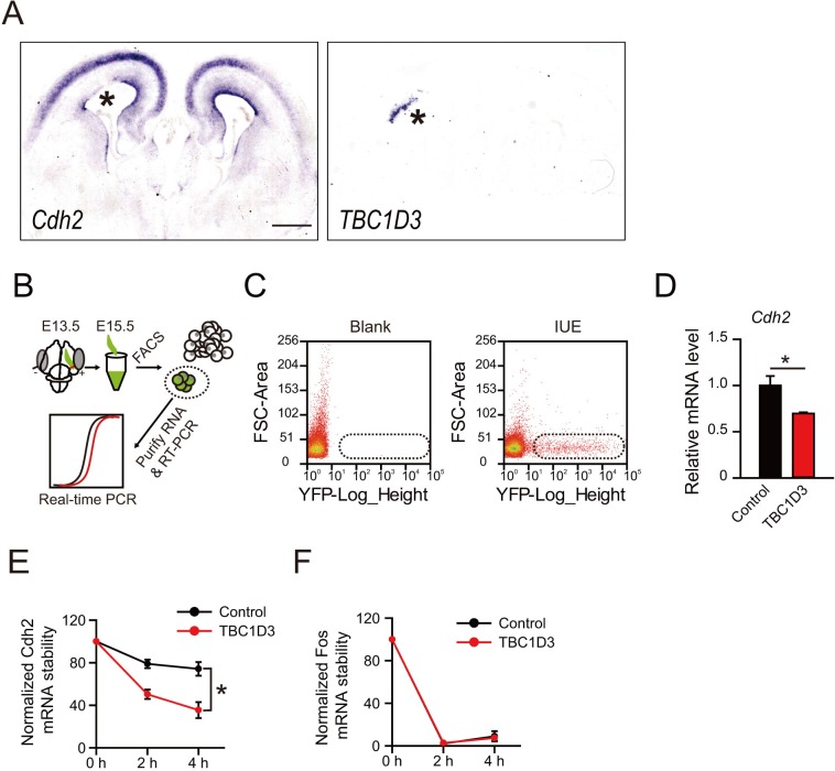 Figure 1—figure supplement 1.