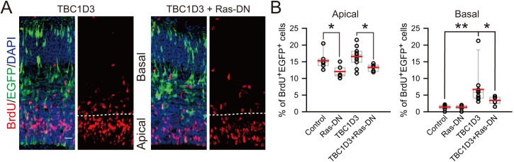 Figure 2—figure supplement 4.