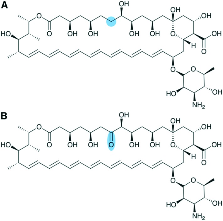 Fig. 8