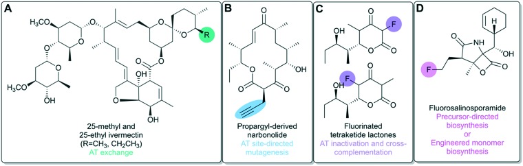 Fig. 6