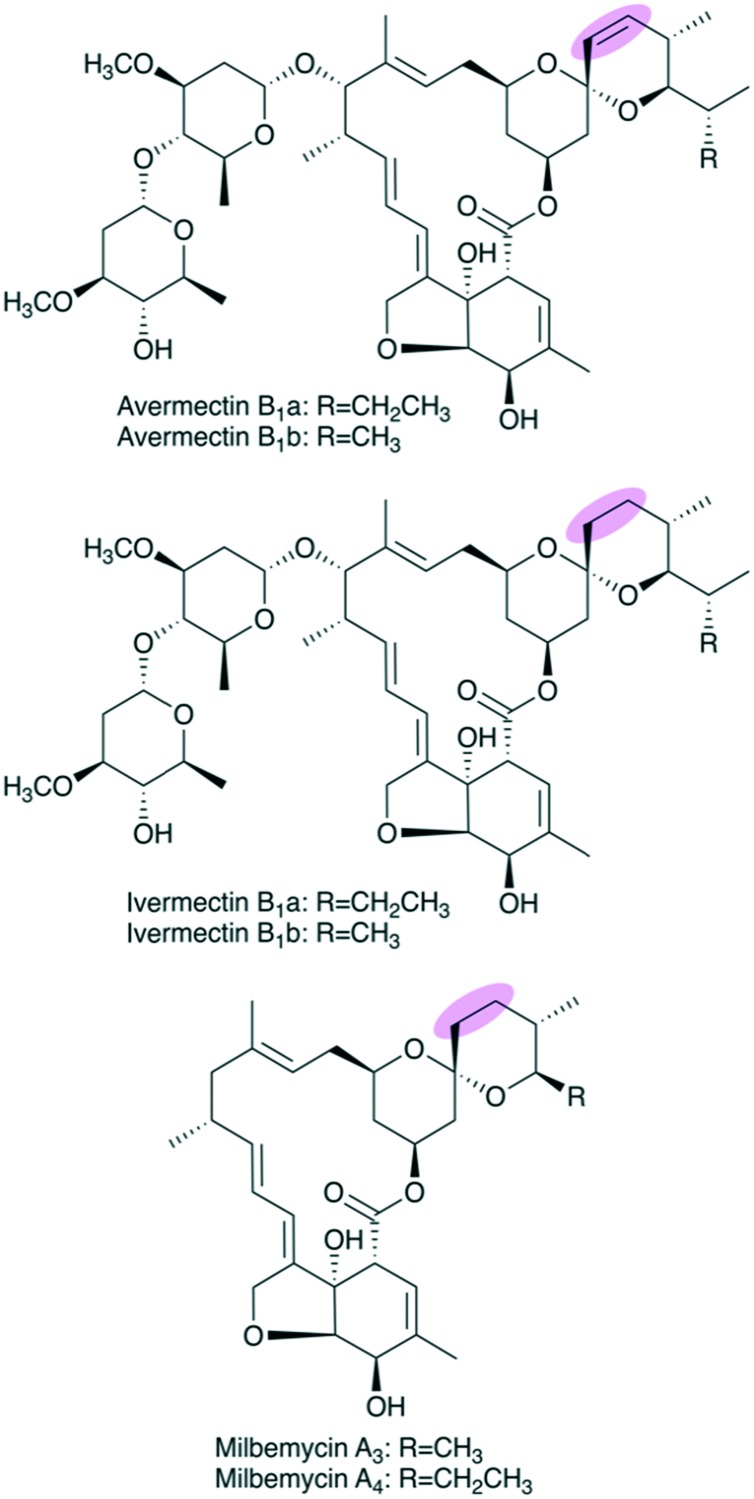 Fig. 10