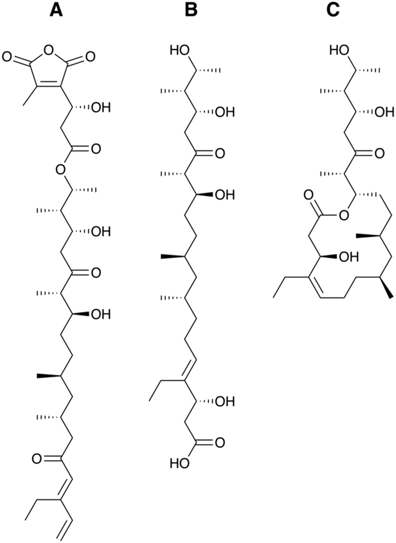 Fig. 11