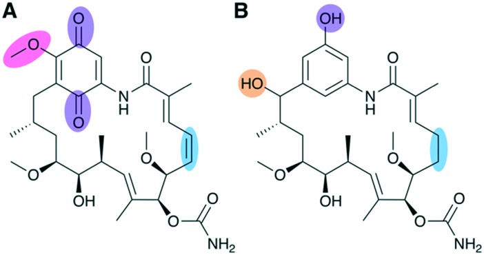 Fig. 9