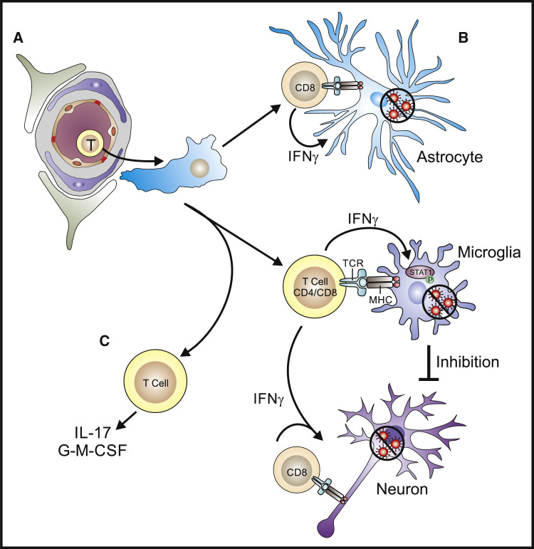 Figure 3