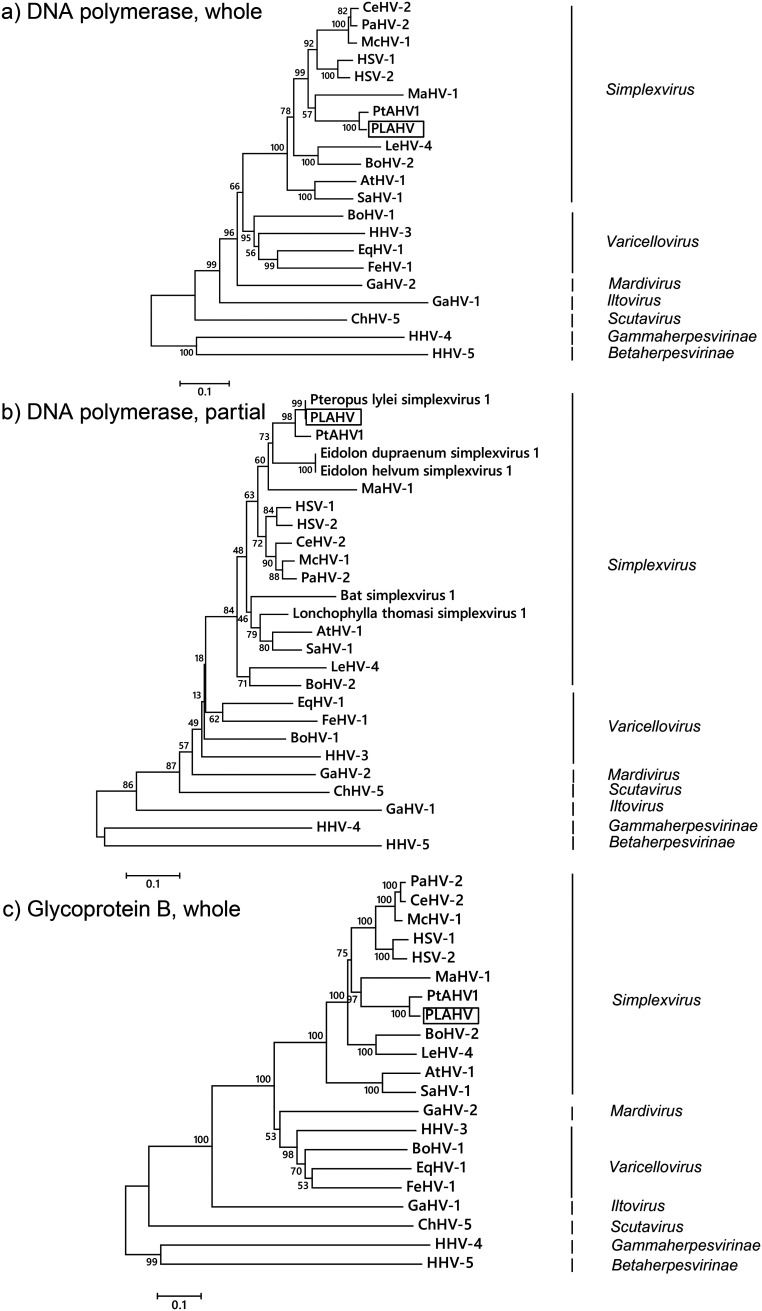 FIG 3