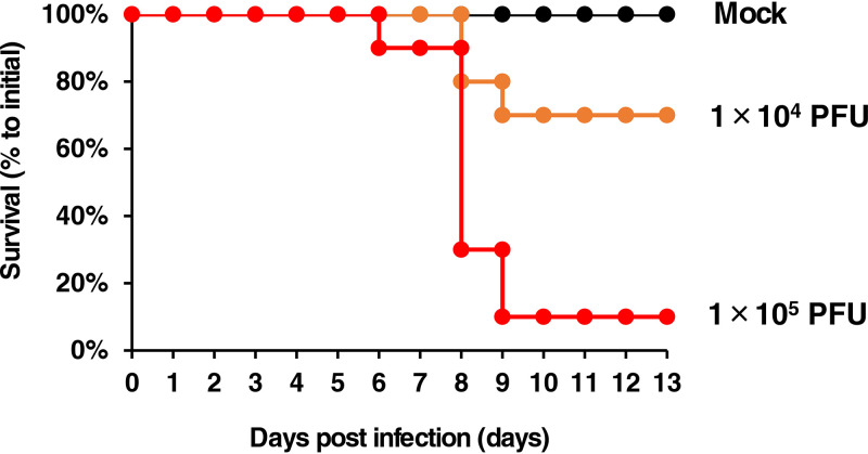 FIG 6