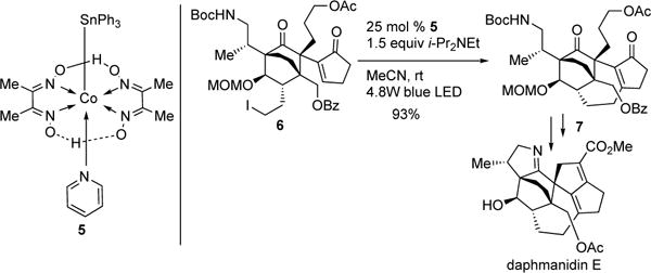 Scheme 2